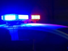 Donna uccisa, bambino ferito nello scontro sulle strisce pedonali di Hayward