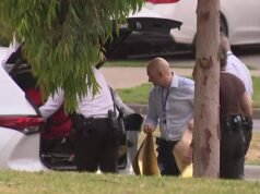 I delinquenti sono ancora in fuga dopo che il ragazzo è stato accoltellato nel parco di Melbourne