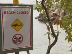 Avviso di attacco di squali a Sydney in caso di pioggia