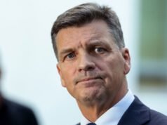 Chi è Angus Taylor? L’uomo che ha lottato contro Sussan Ley per la leadership liberale