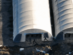 Uomini visti fuggire nella boscaglia dopo che la polizia ha sequestrato un raccolto di cannabis da 10 milioni di dollari