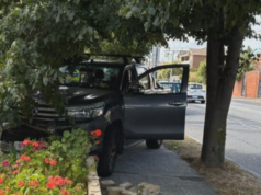 Donna di Melbourne che fa giardinaggio quando il camion entra nel cortile