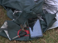 I fulmini colpiscono tre persone e uccidono l’amato animale domestico