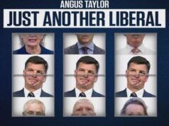 Il partito laburista pubblica un annuncio di attacco contro Angus Taylor prima che l’inchiostro si sia asciugato