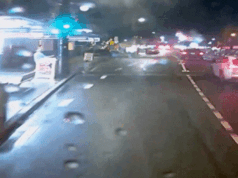 NSW Transport pubblica filmati di numerose chiamate ravvicinate sulle strade di tutto lo stato