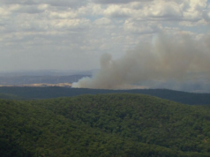 “Troppo tardi per partire”: un incendio boschivo scoppia in condizioni calde e ventose nel nord del Victoria