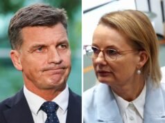 Angus Taylor era pronto a strappare la leadership liberale a Sussan Ley