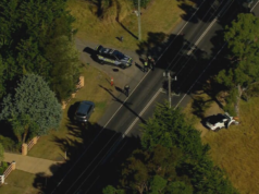 Un pedone adolescente lotta per la vita dopo un incidente stradale a Melbourne