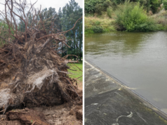 Un uomo morto, decine di migliaia senza elettricità mentre le tempeste colpiscono la Nuova Zelanda