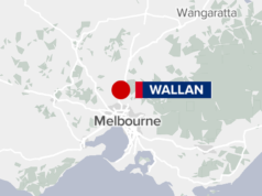 Una donna muore dopo uno scontro tra camion e auto nel nord di Melbourne