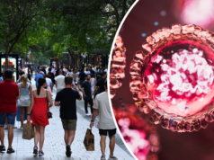 Malattia altamente infettiva circola a Sydney mentre l’epidemia cresce