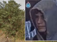 L’uomo è ricercato mentre la polizia indaga su un incendio nella boscaglia di Perth