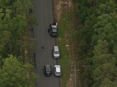 La ricerca del nonno rapito Chris Baghsarian si concentra su una fitta boscaglia