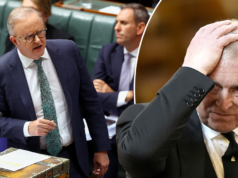 I sostenitori albanesi spingono per cacciare l’ex principe Andrea dalla successione reale