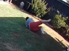 La donna si è salvata per un pelo dopo l’incontro con un serpente velenoso