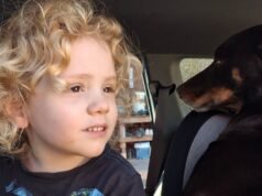 “Le nostre vite sono andate in frantumi”: i genitori di Gus Lamont chiedono aiuto al pubblico