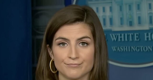 kaitlan-collins-4-cnn-screengrab-youtube-640x335.jpg