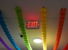 La partecipazione aziendale all’indice DEI della sinistra diminuisce di due terzi