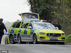 Un altro ragazzo, 16 anni, viene arrestato dalla polizia armata dopo che una studentessa è stata accoltellata a scuola