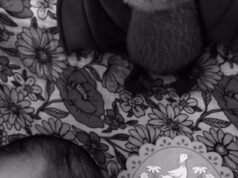 La moglie di Jack Osbourne, Aree, dà alla luce il nome della coppia, una figlia appena nata, in onore della defunta rockstar Ozzy Osbourne, in un sentito tributo