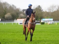 Il leggendario cavallo di Cheltenham Envoi Allen muore dopo essere crollato pochi istanti dopo la sua ultima gara nella Gold Cup