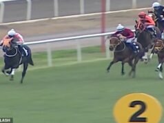 Indignazione perché il campione di cavalli da corsa viene ucciso e servito a commensali inconsapevoli nella mensa dei poveri gestita dal comune