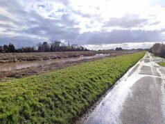 Ricerca frenetica di due adolescenti scomparsi dopo che l’auto con cinque giovani a bordo è precipitata nel fiume