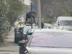 Il manager della squadra ciclistica d’élite è rimasto “terrorizzato” dopo che dei ladri in passamontagna brandivano un machete mentre rubavano biciclette da 8.000 sterline in pieno giorno