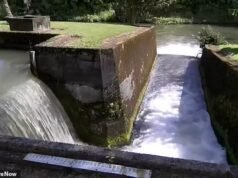 Panico alle Hawaii mentre la diga rischia il fallimento imminente e a migliaia viene detto: “Andatevene adesso”