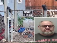 Donna della Florida sbranata da 7 cani davanti alla casa dell’autore di reati sessuali