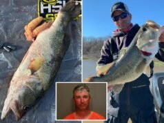 Troppo sospetto: il pescatore è stato arrestato presumibilmente aggiungendo pesi ai pesci per vincere un premio di $ 10.000