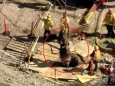 Un uomo di 500 libbre combatte per la sua vita dopo essere caduto in una buca profonda 15 piedi in California