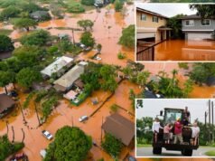 Le inondazioni improvvise delle Hawaii provocano il caos mentre una diga di 120 anni minaccia di crollare, 230 persone salvate