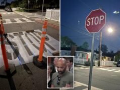 Arrestato un papà californiano per aver ridipinto e aggiunto segnali di stop a un incrocio pericoloso