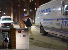 Adolescente ucciso a colpi di arma da fuoco all’interno di un complesso residenziale pubblico di New York
