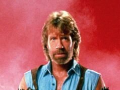 Chuck Norris ha dato un pugno a questo articolo al sole