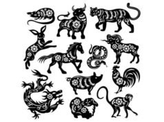 6 segni zodiacali che attirano ricchezza e abbondanza lunedì 2 marzo 2026