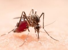 I casi globali di dengue raggiungono i 14,6 milioni in un anno, la minaccia continua ad aumentare