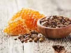 Uno studio rivela il potenziale della propoli per i pazienti con disturbi metabolici