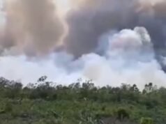 La foschia del fumo delle foreste e della silvicoltura interrompe il flusso del ritorno a casa sulla rotta Riau-Sumatra settentrionale