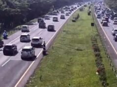 La strada a pedaggio di Cipali raggiunge il volume di 41mila veicoli prima dell’Eid