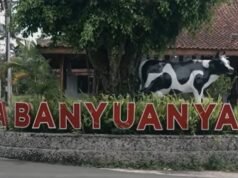 Dai uno sguardo alla storia del villaggio di Banyuanyar, rispettoso dell’ambiente e in continuo progresso grazie al BRILiaN Village Empowerment