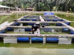 Continuando a crescere, l’empowerment della BRI dà impulso all’economia del villaggio di Empang Baru