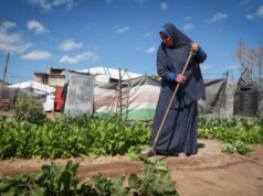 Giornata della Terra a Gaza: tra memoria e lotta per ciò che resta