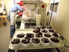 Beef Jerky ha emesso un avviso per la salute pubblica