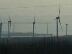 La spinta della Cina verso l’energia pulita l’ha resa meno vulnerabile agli shock energetici, inclusa la guerra con l’Iran