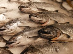 Il riscaldamento delle acque minaccia l’approvvigionamento di prodotti ittici