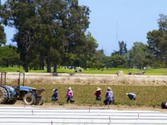 Le aziende agricole subiscono le conseguenze dell’agenda di deportazione di Trump