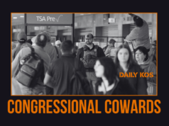 I repubblicani applaudono la mossa idiota dell’ICE di Trump negli aeroporti