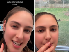 Una donna riceve un avviso dalla telecamera della porta riguardo all’orso nero: ciò che trova la sorprende